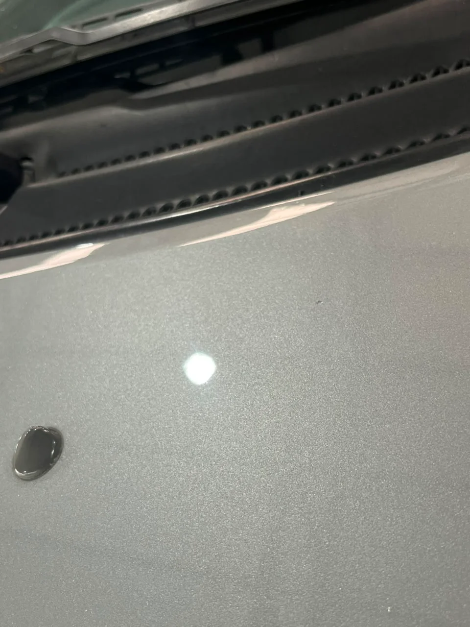 El mismo capó después del ceramizado: el reflejo de la luz es un punto limpio, sin micro-rayones